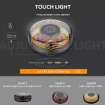 Recci Mars Atmosphere Lamp Wireless Charger RCW-42