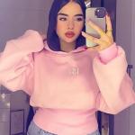 Cropped Hoddie
