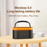 RECCI Speak Phantom RSK-W40