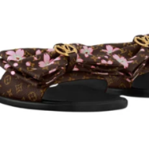Louis Vuitton x Murakami Lily Mule – Brown