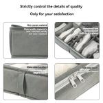 منظم متعدد الاستخدامات