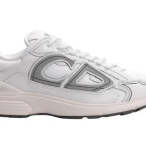 Dior B30 White Grey
