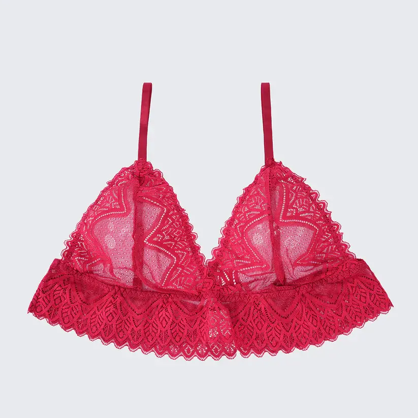 Plus Size Sexy Sheer Lace Mesh Bra Panty Set