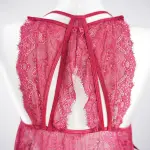 Sheer Fine Mesh Embroidered Babydoll Spaghetti Strap Lingerie