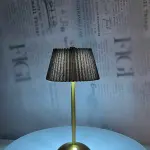 NOIR Pleated Brass Lam