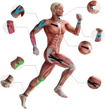 M D Stay Fit MD Cotton Elastic Muscle Tape 5M - Multi Color