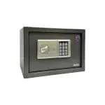LG Safe - 25 LGK GRAY