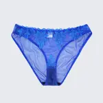 Sexy Sheer Lace Embroidered See Through Bra Panty Set