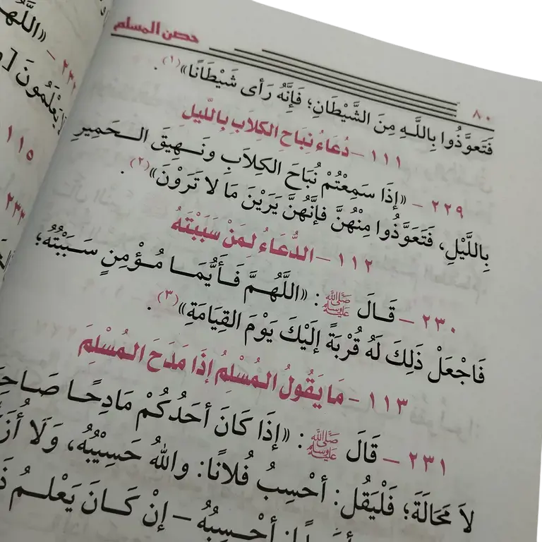 حصن المسلم من أذكار الكتاب والسنه