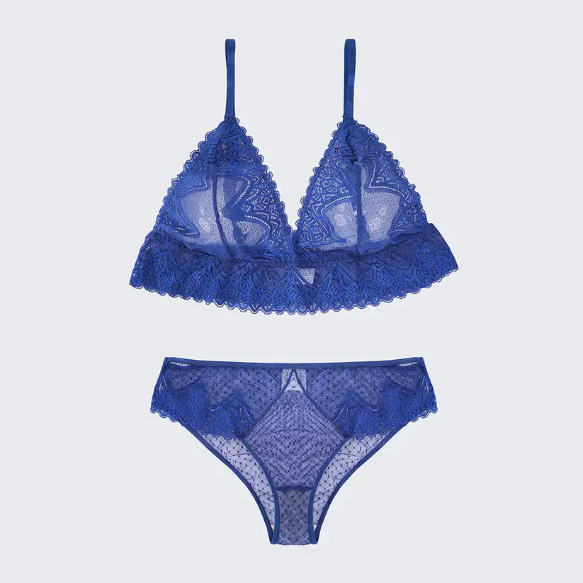 Plus Size Sexy Sheer Lace Mesh Bra Panty Set