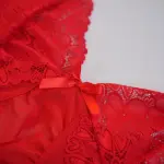 Red Full-body Lace Top Panty Set