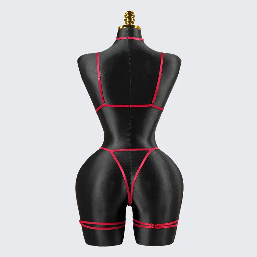 Crimson Seduction Red Lace Embroidery Seduction Bodysuit
