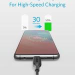Anker PowerLine III USB-C to USB-C 2.0 Cable 3ft