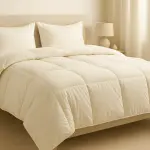 Cozy Minimalist Microfiber Duvet