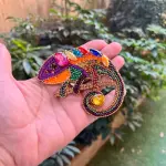 The Rainbow Chameleon