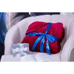 WarmyWorm Blanket 2.7KG