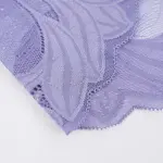 Plus Size Women's Lace See-through Panty