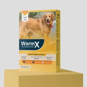 ورم اكس للكلاب