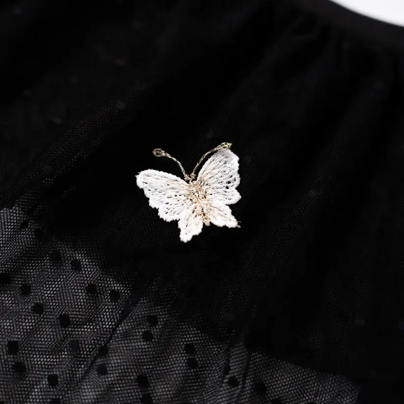 Black Lace Butterfly Embroidery Bra & Panty Set