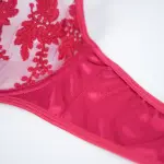 Sexy Mesh Embroidered See-Through Bra Thong Lingerie Set