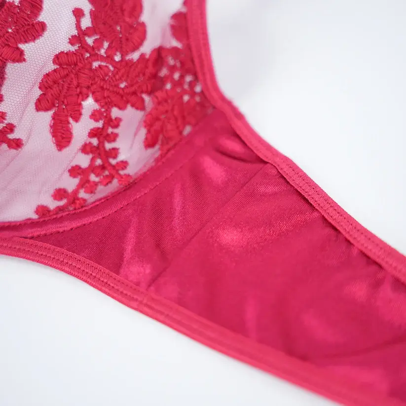 Sexy Mesh Embroidered See-Through Bra Thong Lingerie Set