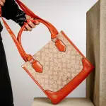 LEATHER HAND BAG COACH BG-4