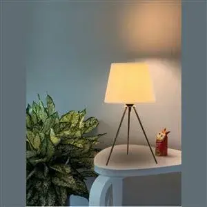 Modern Table Lamp TM504