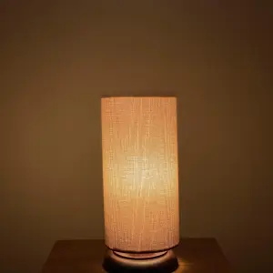 Modern Table Lamp TLM30
