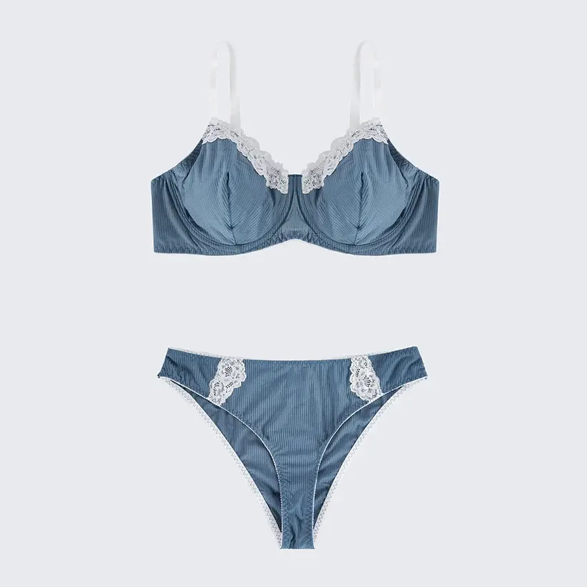 Plus Size Navy Blue Sexy Lace Lingerie Set