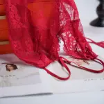 Red Lace See-through Lingerie Dress