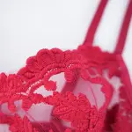 Sexy Mesh Embroidered See-Through Bra Thong Lingerie Set