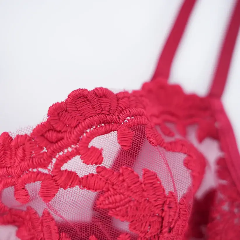 Sexy Mesh Embroidered See-Through Bra Thong Lingerie Set