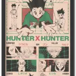 Hunter X Hunter