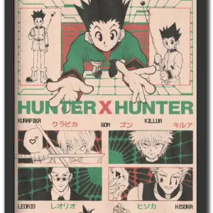 Hunter X Hunter