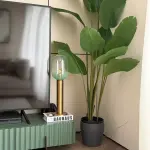 Cove Designs Eclipse