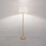 Modern Floor LampFL19