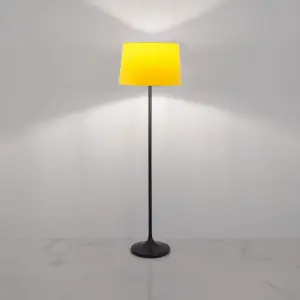 Modern Floor Lamp TA218