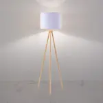 Modern Floor Lamp