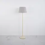 Modern Floor Lamp FL29