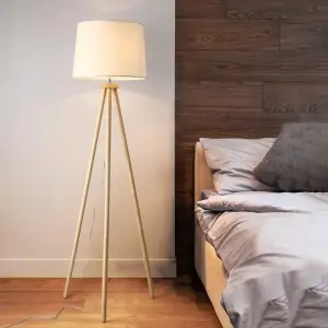 Modern Floor Lamp