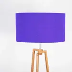 Modern Floor Lamp