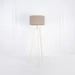 Modern Floor Lamp