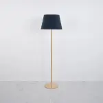 Modern Floor Lamp