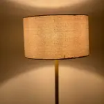 Modern Floor Lamp