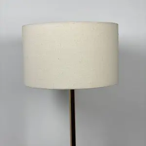 Modern Floor Lamp