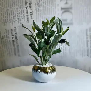 Golden Olive Planter