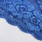 Plus Size Sheer Lace Low Rise Panty Underwear