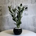 Obsidian Olive Planter