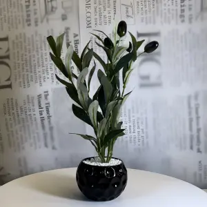 Obsidian Olive Planter