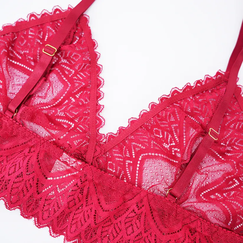 Plus Size Sexy Sheer Lace Mesh Bra Panty Set